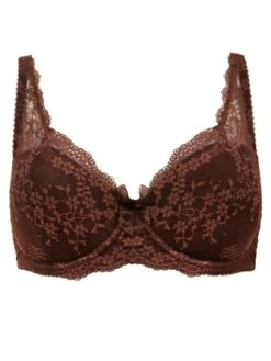 Pour Moi Flora Lightly Padded Underwired Bra - Brown -Modish Muse 1062E SQ5 0000000143 BROWN MDd1