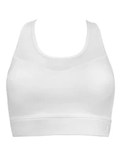 Pour Moi Energy Mesh Insert Crop Top - White 8 Pour Moi Energy Mesh Insert Crop Top - White -Modish Muse 107Y5 SQ4 0000000013 WHITE MDd