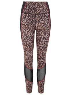 Pour Moi Energy Printed Mesh Panel Legging - Multi -Modish Muse 109IF SQ4 0000000029 MULTI MDd