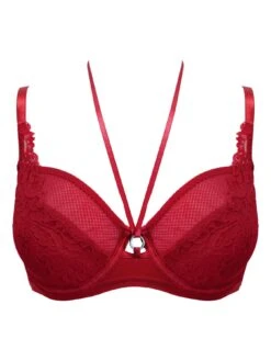 Pour Moi Lavish Underwired Bra - Red -Modish Muse 1154Z SQ4 0000000017 RED MDd