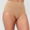 Everyday Shaping High Waisted Brief - Nude -Modish Muse VEC2T SQ1 0000001277 LIGHT BROWN MDf