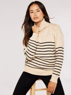 Apricot Model Stripe Roll Neck Jumper