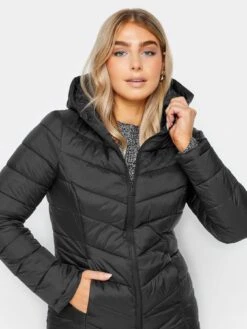 M&Co Short Quilted Padded Jacket - Black -Modish Muse VQGUG SQ4 0000000004 BLACK MDd