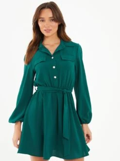 Quiz Bottle Green Skater Shirt Dress